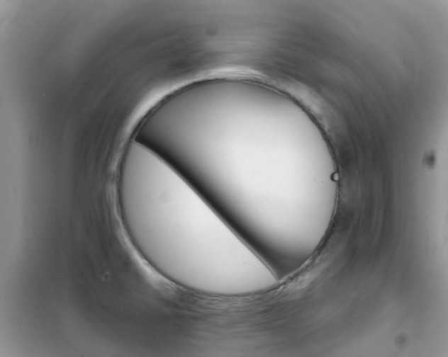 X0000102371430200808011013