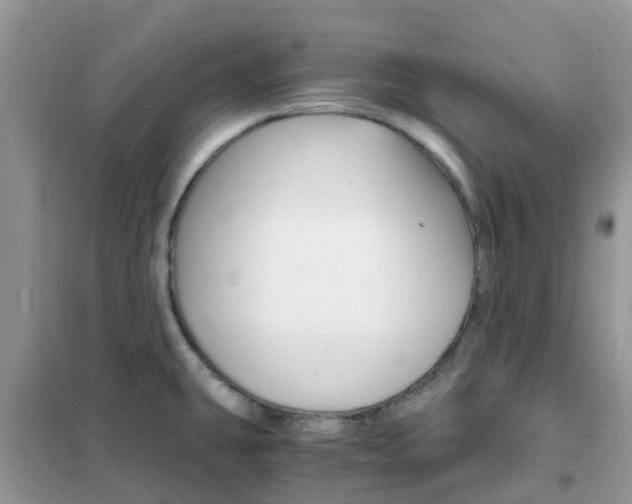 X0000102371431200808011013