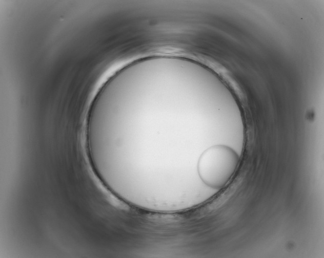 X0000102371432200808011013