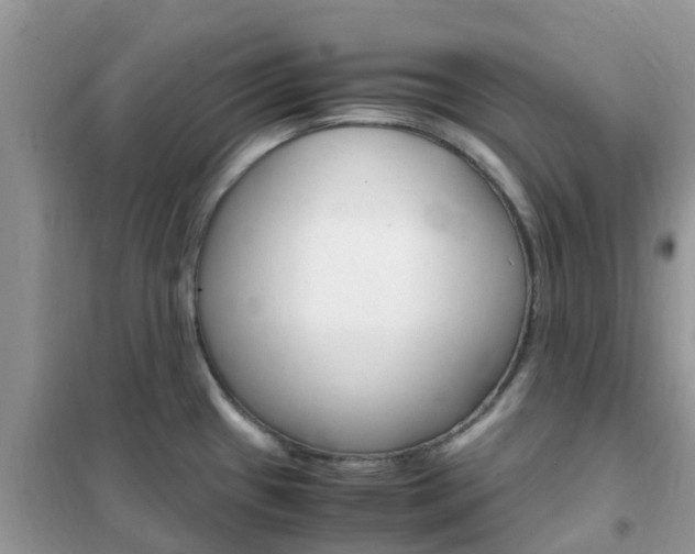 X0000102371433200808011013