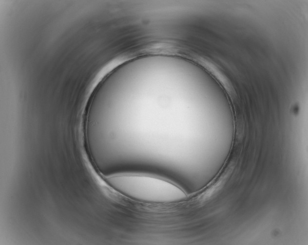 X0000102371434200808011013