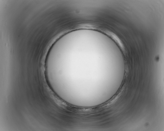 X0000102371435200808011013