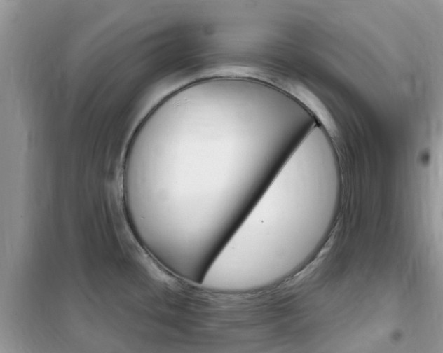 X0000102371436200808011013