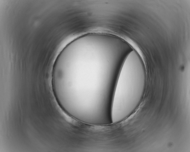 X0000102371437200808011013