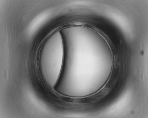 X0000102371438200808011013