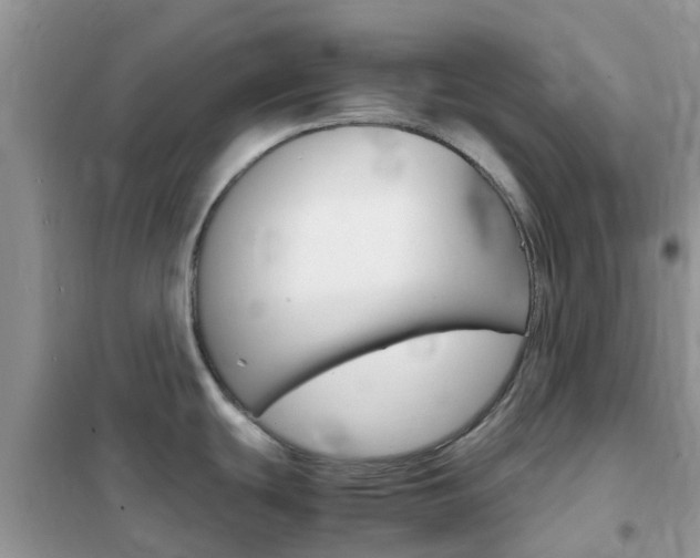 X0000102371439200808011013