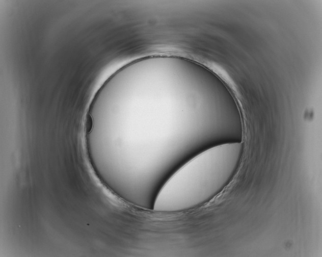X0000102371440200808011013