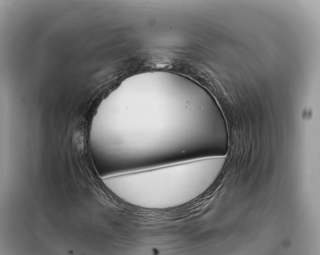 X0000102371442200808011012