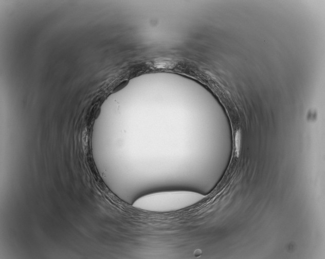 X0000102371443200808011012