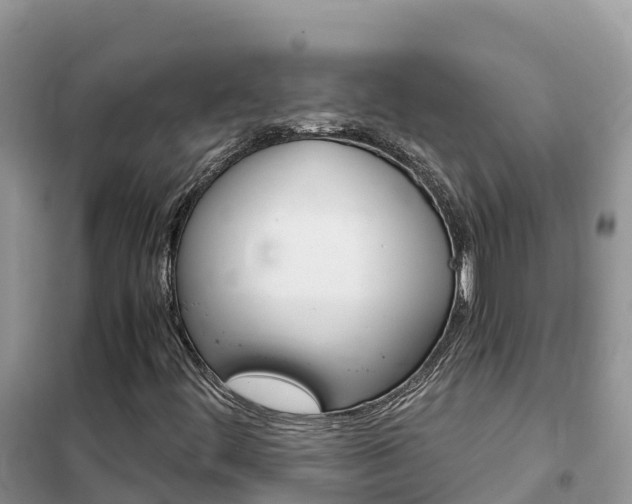 X0000102371444200808011012