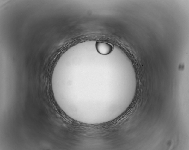 X0000102371445200808011012