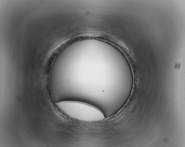 X0000102371448200808011012