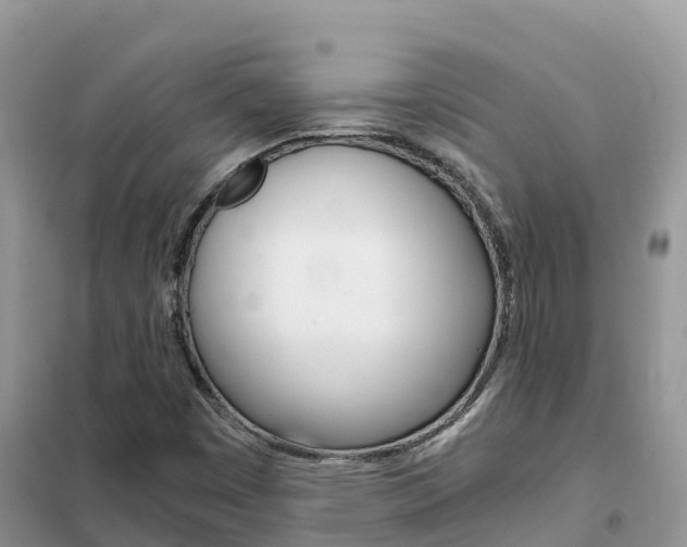 X0000102371449200808011012