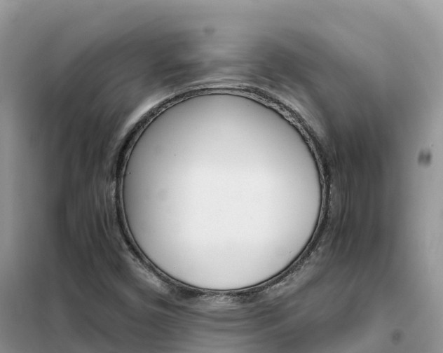 X0000102371450200808011012