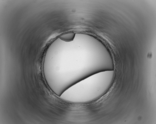 X0000102371451200808011012
