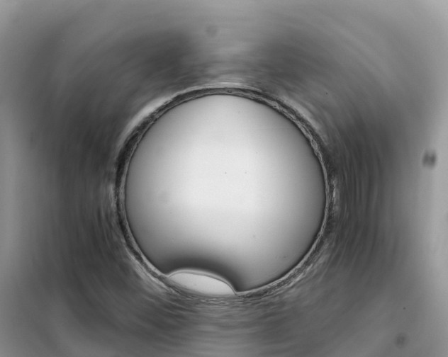 X0000102371452200808011012