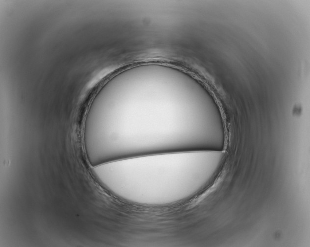 X0000102371453200808011012