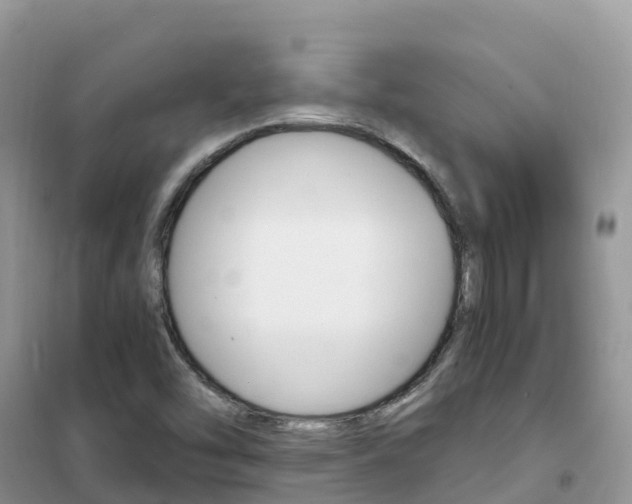 X0000102371454200808011012