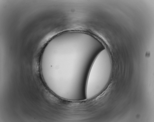 X0000102371455200808011012