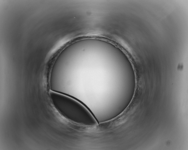 X0000102371456200808011012