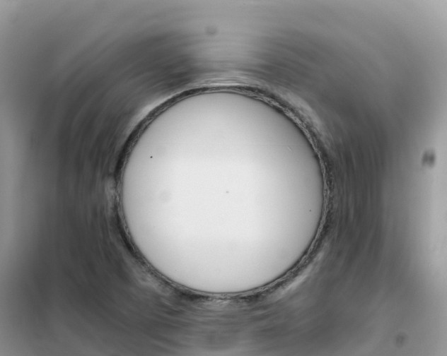 X0000102371457200808011012
