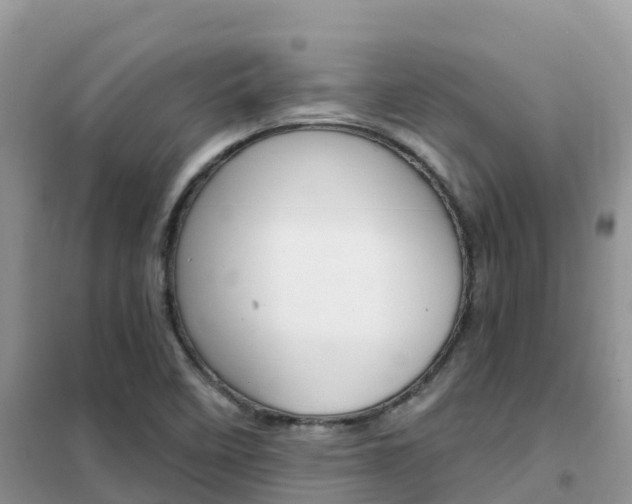 X0000102371458200808011012