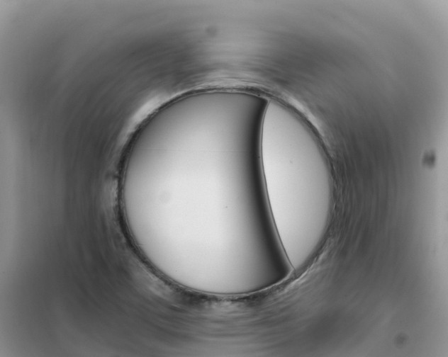 X0000102371459200808011012