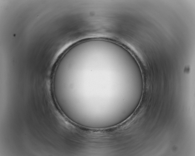 X0000102371460200808011012
