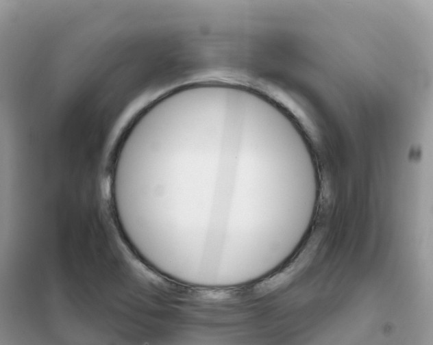 X0000102371462200808011012