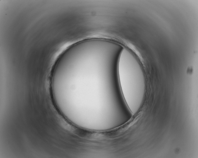 X0000102371463200808011012