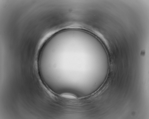 X0000102371464200808011012