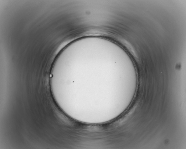 X0000102371465200808011012