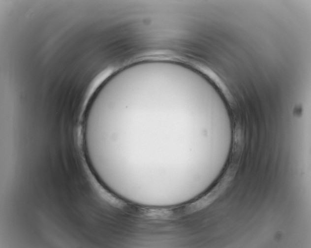 X0000102371466200808011012