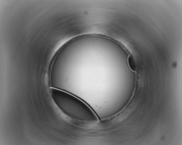 X0000102371468200808011012