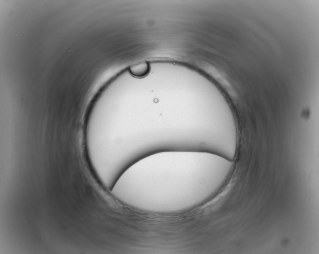 X0000102371469200808011012