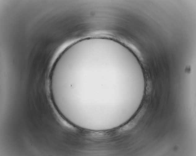 X0000102371470200808011012