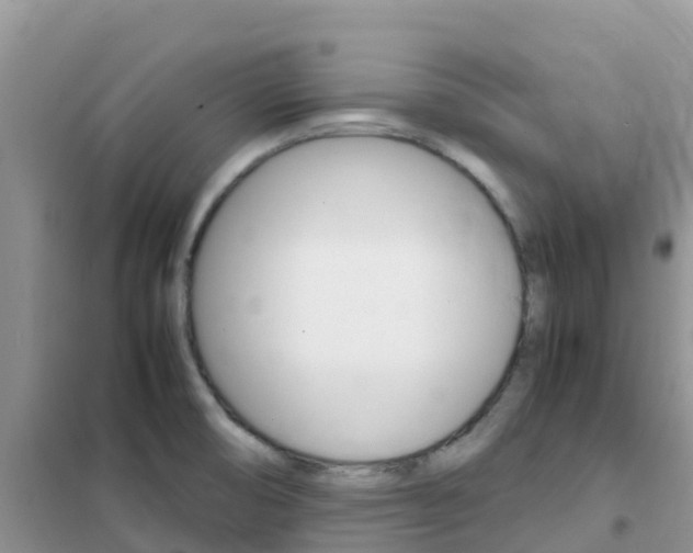 X0000102371474200808011012