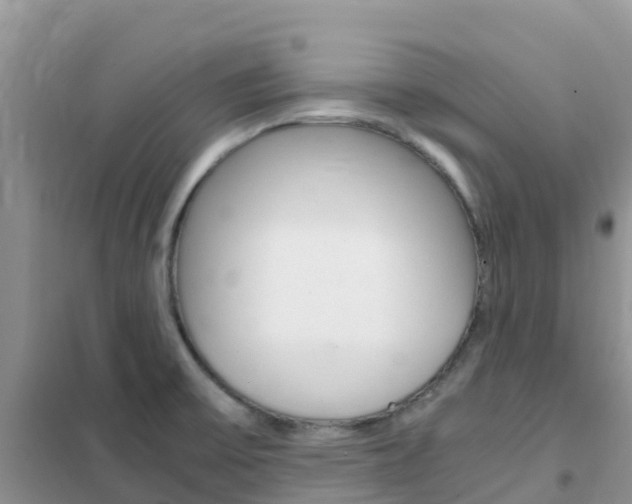 X0000102371475200808011012