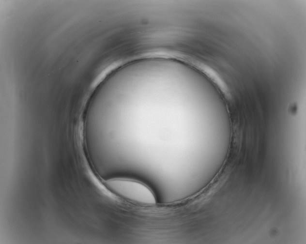 X0000102371476200808011012