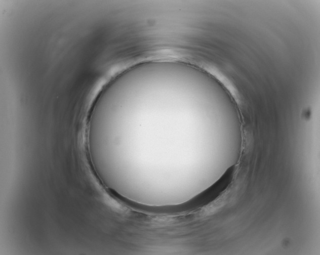 X0000102371477200808011012