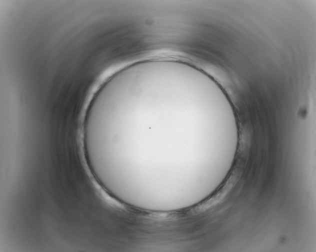 X0000102371478200808011012