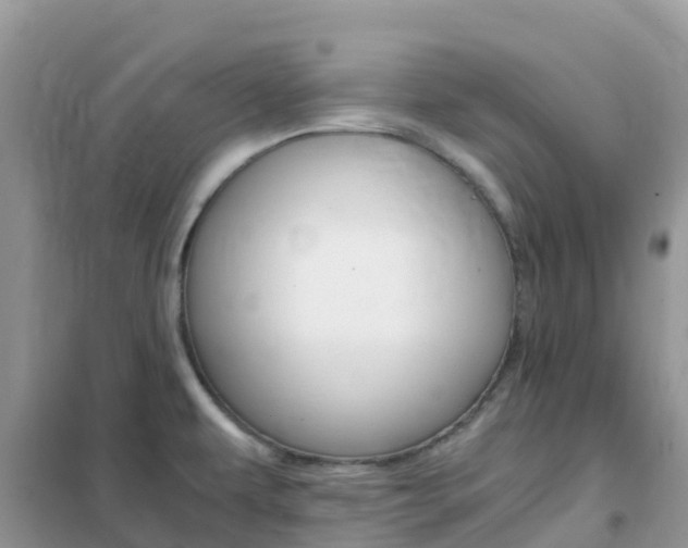 X0000102371479200808011011