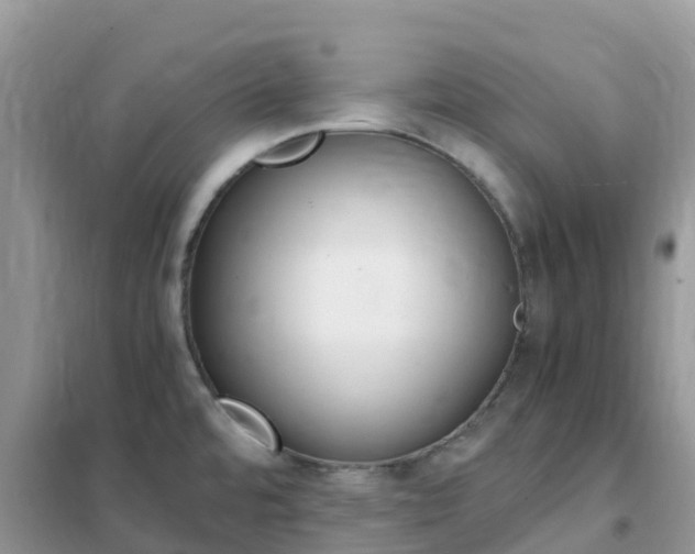 X0000102371480200808011011