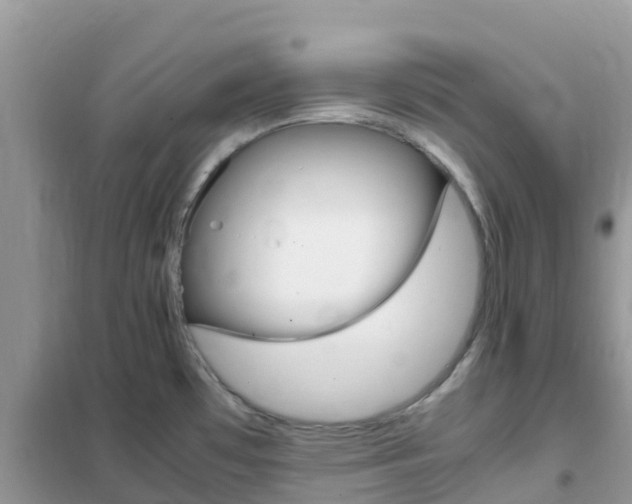 X0000102371481200808011011