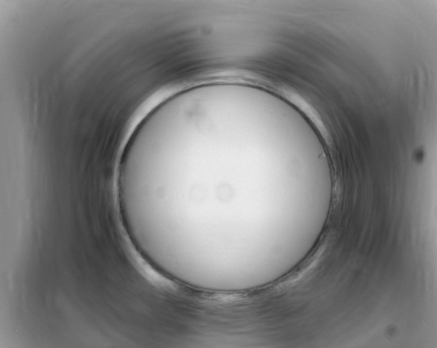 X0000102371482200808011011