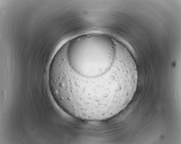 X0000102371483200808011011