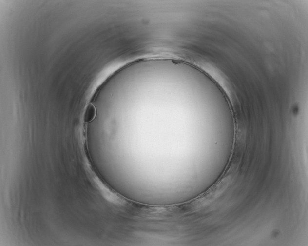 X0000102371485200808011011