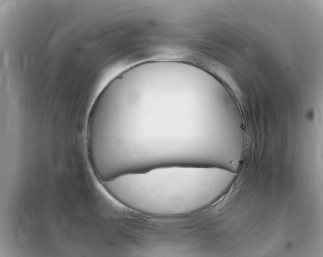 X0000102371487200808011011