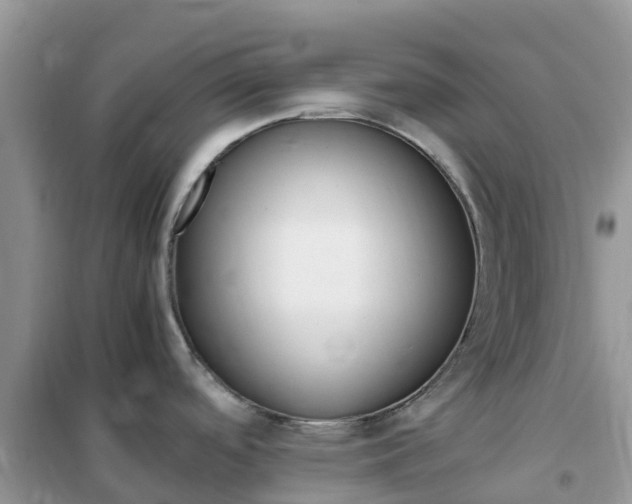 X0000102371488200808011011
