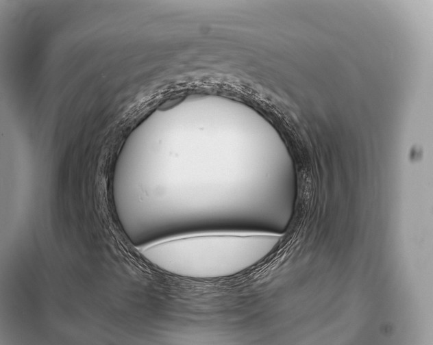 X0000102371489200808011011